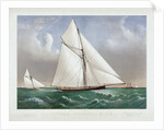 Cutter Genesta, R.Y.S. by C.R. Parsons