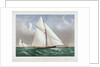 Cutter Genesta, R.Y.S. by C.R. Parsons