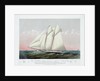 The Schooner Yacht Magic of the New York Yacht Club by Currier & Ives