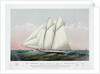 The Schooner Yacht Magic of the New York Yacht Club by Currier & Ives