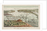 The Port of New York - Birds Eye View from the Battery, Looking South by Currier & Ives