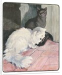 A White and Black Cat Sitting on a City Stoop by Anonymous