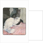 A White and Black Cat Sitting on a City Stoop by Anonymous