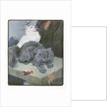 A White and Gray Persian Cat on a Park Bench in the Fall by Anonymous