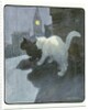 A White and Black Cat Sitting on a City Rooftop by Anonymous