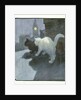 A White and Black Cat Sitting on a City Rooftop by Anonymous