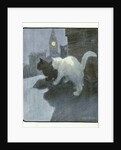 A White and Black Cat Sitting on a City Rooftop by Anonymous