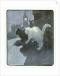 A White and Black Cat Sitting on a City Rooftop by Anonymous