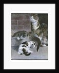 Domestic Cat with Three Kittens by Anonymous