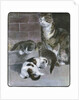 Domestic Cat with Three Kittens by Anonymous