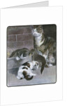 Domestic Cat with Three Kittens by Anonymous