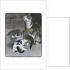 Domestic Cat with Three Kittens by Anonymous