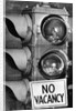 No vacancy sign by traffic lights with birds' nests inside by Anonymous