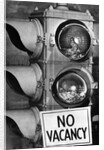No vacancy sign by traffic lights with birds' nests inside by Anonymous