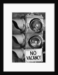 No vacancy sign by traffic lights with birds' nests inside by Anonymous