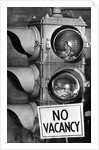 No vacancy sign by traffic lights with birds' nests inside by Anonymous