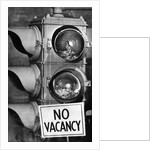 No vacancy sign by traffic lights with birds' nests inside by Anonymous