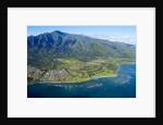 Aerial of West Maui Mountains and Waihee Golf course, Maui, Hawaii by Anonymous