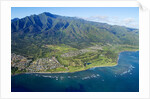 Aerial of West Maui Mountains and Waihee Golf course, Maui, Hawaii by Anonymous