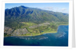 Aerial of West Maui Mountains and Waihee Golf course, Maui, Hawaii by Anonymous