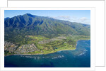 Aerial of West Maui Mountains and Waihee Golf course, Maui, Hawaii by Anonymous