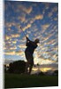 Silhouette of golfer at sunset, Maui, Hawaii by Anonymous