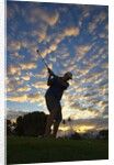 Silhouette of golfer at sunset, Maui, Hawaii by Anonymous