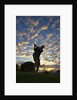 Silhouette of golfer at sunset, Maui, Hawaii by Anonymous