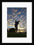 Silhouette of golfer at sunset, Maui, Hawaii by Anonymous