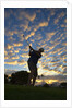 Silhouette of golfer at sunset, Maui, Hawaii by Anonymous