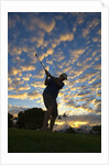 Silhouette of golfer at sunset, Maui, Hawaii by Anonymous