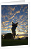 Silhouette of golfer at sunset, Maui, Hawaii by Anonymous