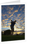 Silhouette of golfer at sunset, Maui, Hawaii by Anonymous