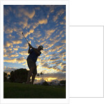 Silhouette of golfer at sunset, Maui, Hawaii by Anonymous