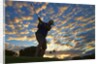 Silhouette of golfer at sunset, Maui, Hawaii by Anonymous