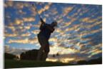 Silhouette of golfer at sunset, Maui, Hawaii by Anonymous