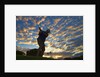 Silhouette of golfer at sunset, Maui, Hawaii by Anonymous