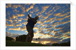 Silhouette of golfer at sunset, Maui, Hawaii by Anonymous
