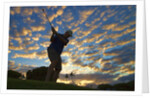 Silhouette of golfer at sunset, Maui, Hawaii by Anonymous