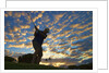 Silhouette of golfer at sunset, Maui, Hawaii by Anonymous