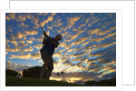 Silhouette of golfer at sunset, Maui, Hawaii by Anonymous