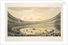 The Plaza de Toros of Madrid by Corbis