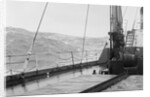 S.S. American Trader Riding High Waves on Open Sea by Anonymous