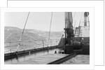 S.S. American Trader Riding High Waves on Open Sea by Anonymous