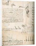Notebook drawing of grappling hooks by Leonardo da Vinci