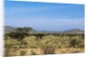 Samburu, Kenya by Anonymous