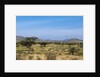 Samburu, Kenya by Anonymous
