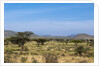 Samburu, Kenya by Anonymous