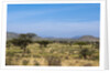 Samburu, Kenya by Anonymous