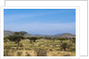 Samburu, Kenya by Anonymous